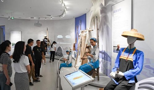 海南省非物质文化遗产展示中心试运行 开启网络文化经营新篇章